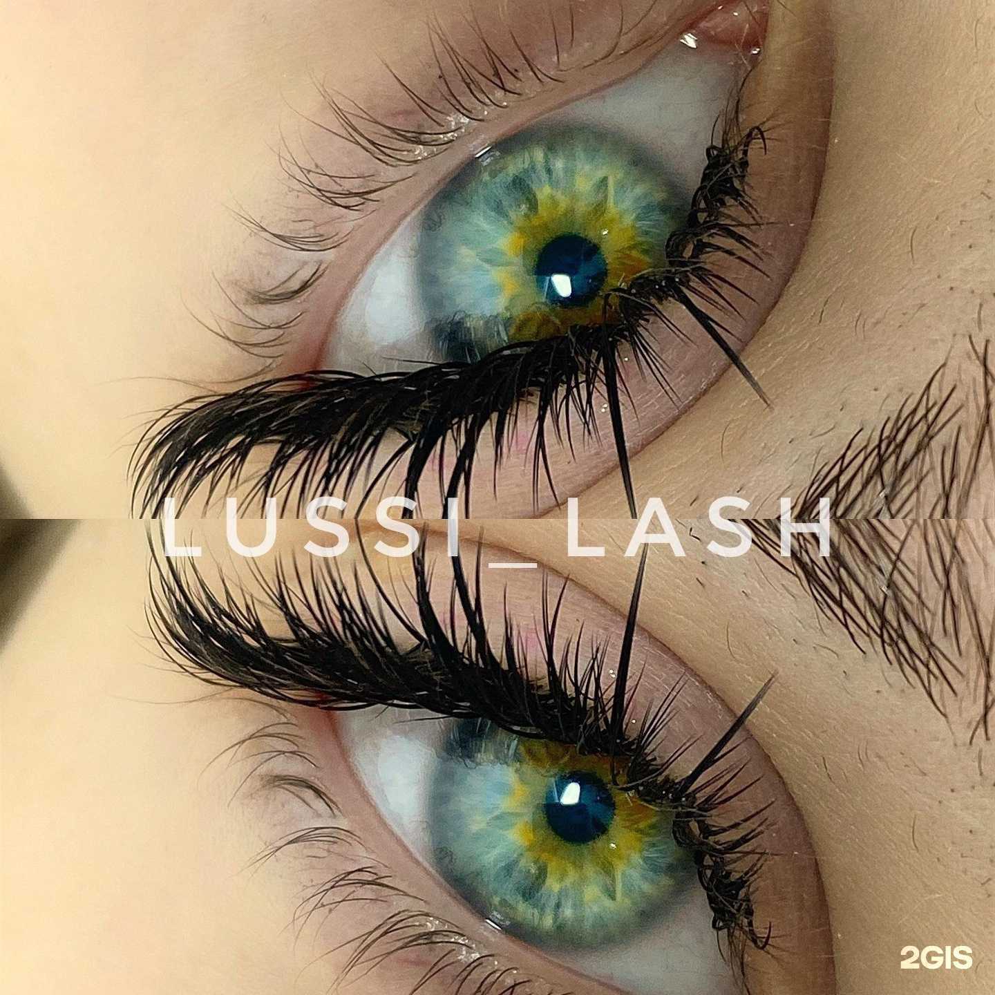 Отзывы на компанию Lussi_lash в Тольятти c фото