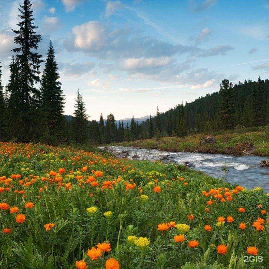 Отзывы на компанию Птицефабрика Октябрьская в Новосибирске c фото