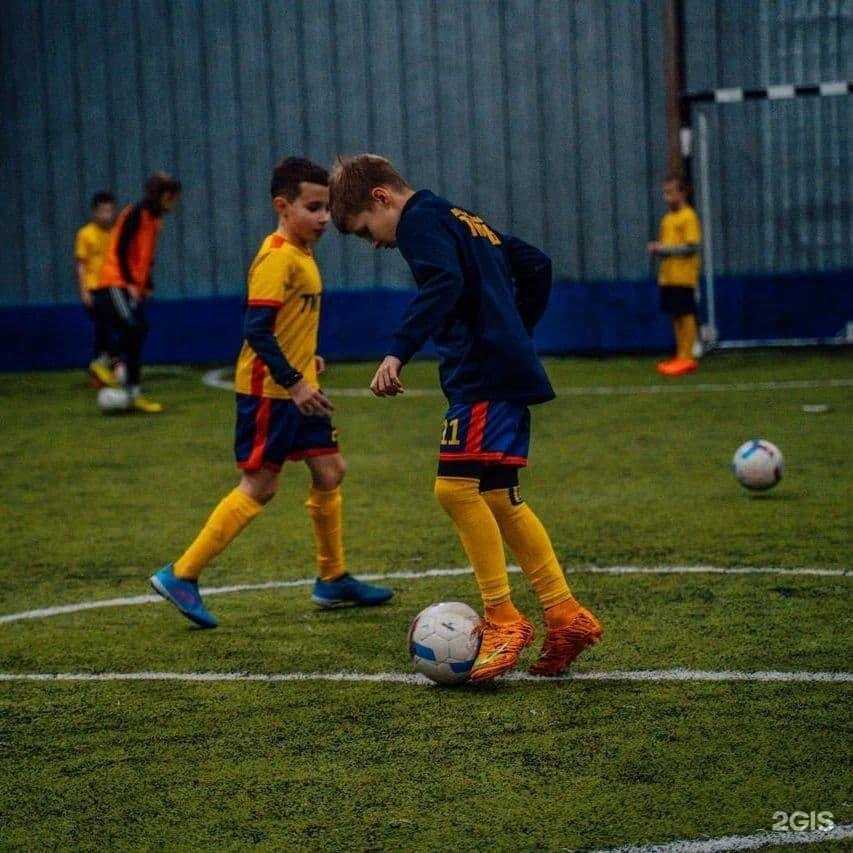 Отзывы на компанию Тигры в Томске c фото