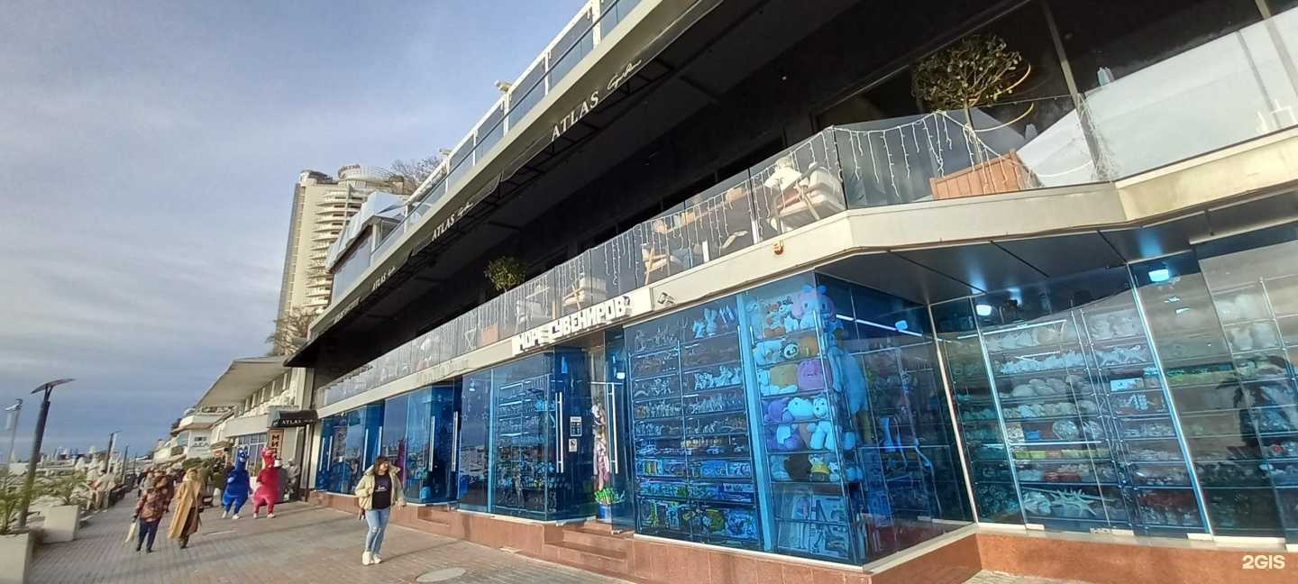 Отзывы на компанию Магазин сувениров в Сочи c фото - фотография 2 из 2