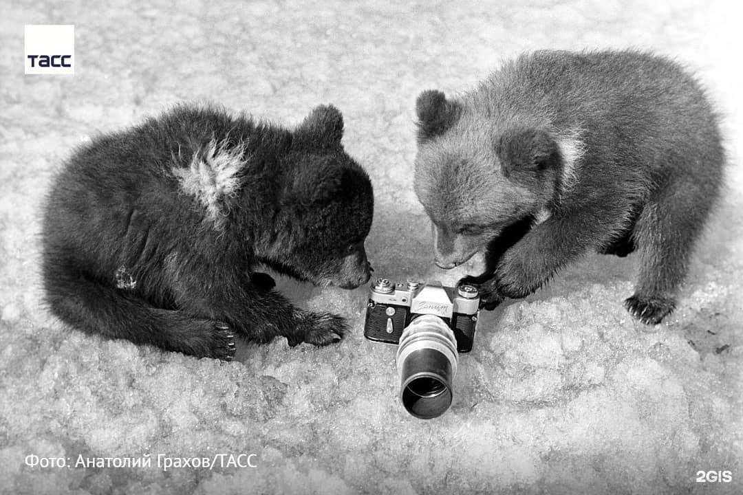 Отзывы на компанию Darbu в г. Ростов-на-Дону c фото