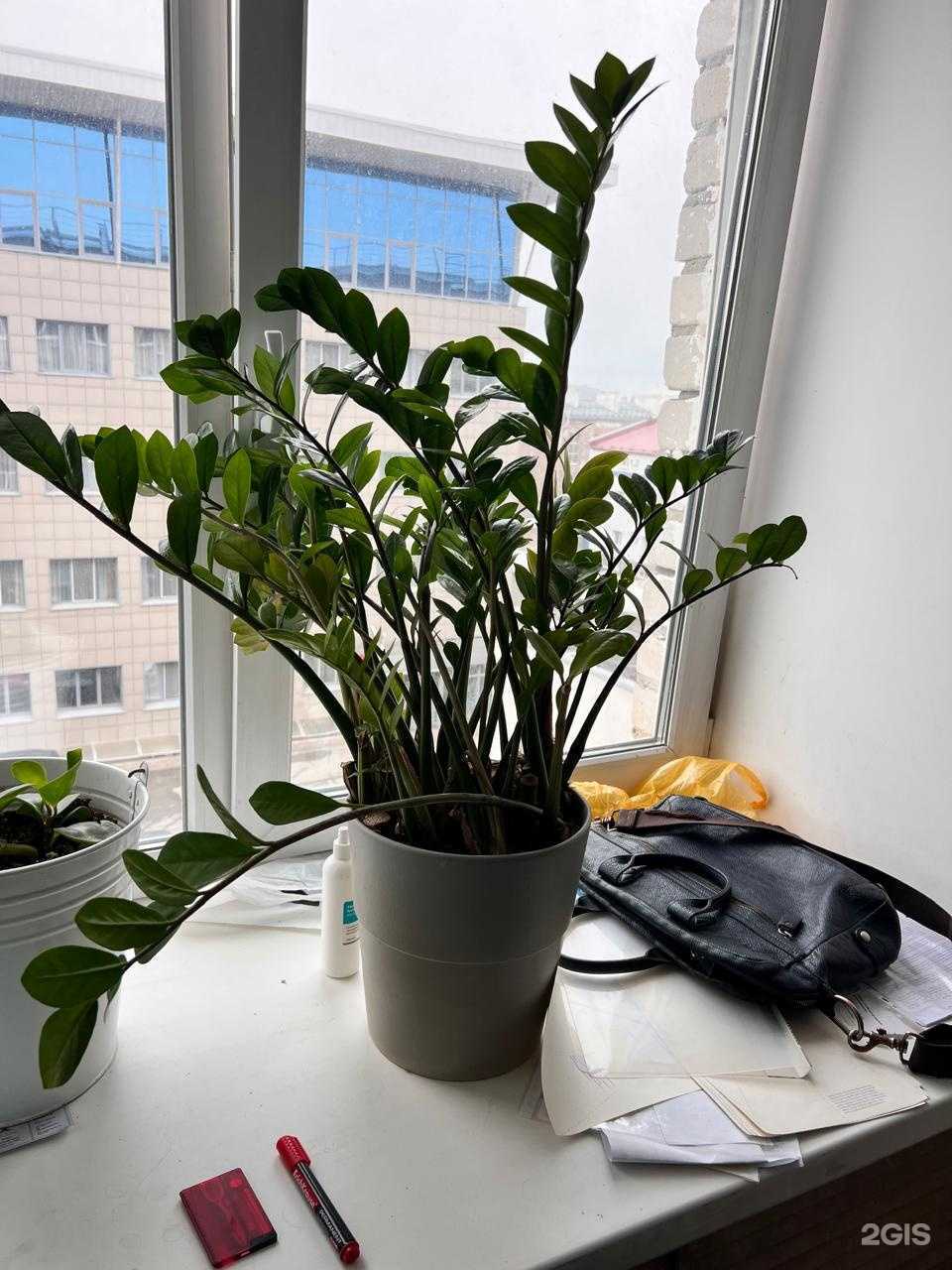 Отзывы на компанию Мой Аудит в Перми c фото