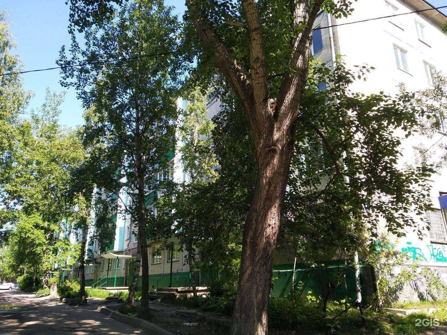 Отзывы на компанию Палема в Архангельске c фото - фотография 2 из 2