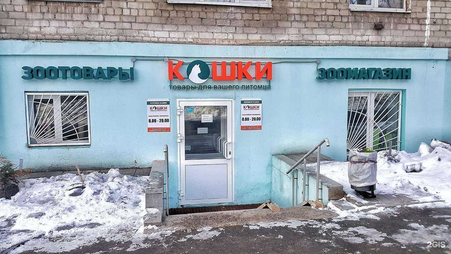 Отзывы на компанию Кошки в г. Казань c фото