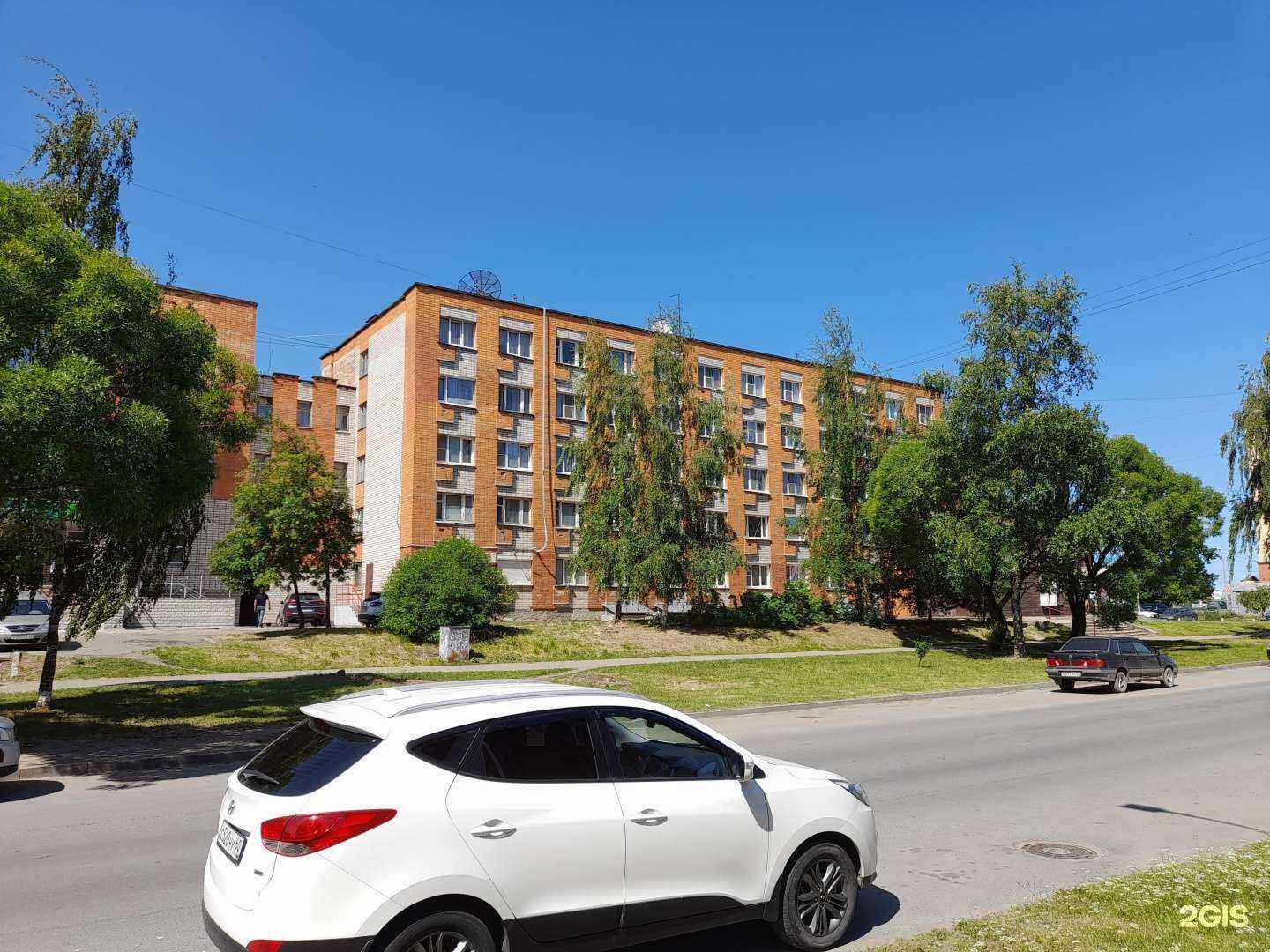 Отзывы на компанию Levita в Пскове c фото