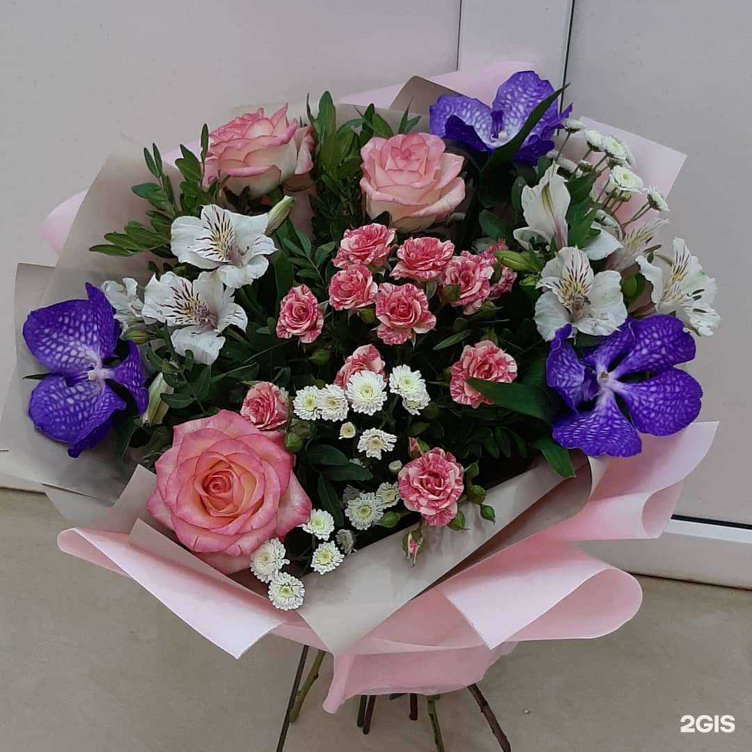 Отзывы на компанию Малибу в Тамбове c фото