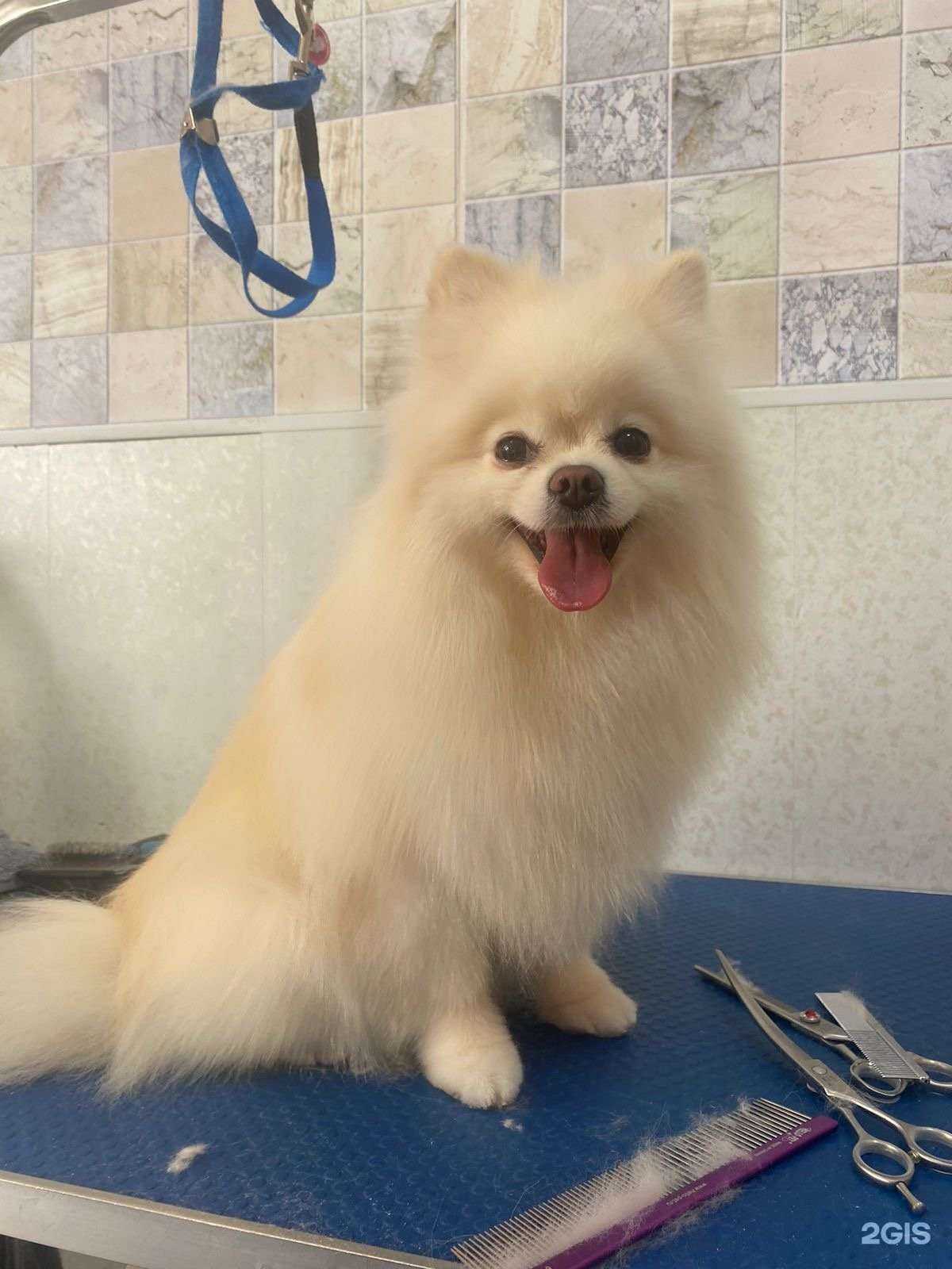 Отзывы на компанию HappyGroom в г. Екатеринбург c фото