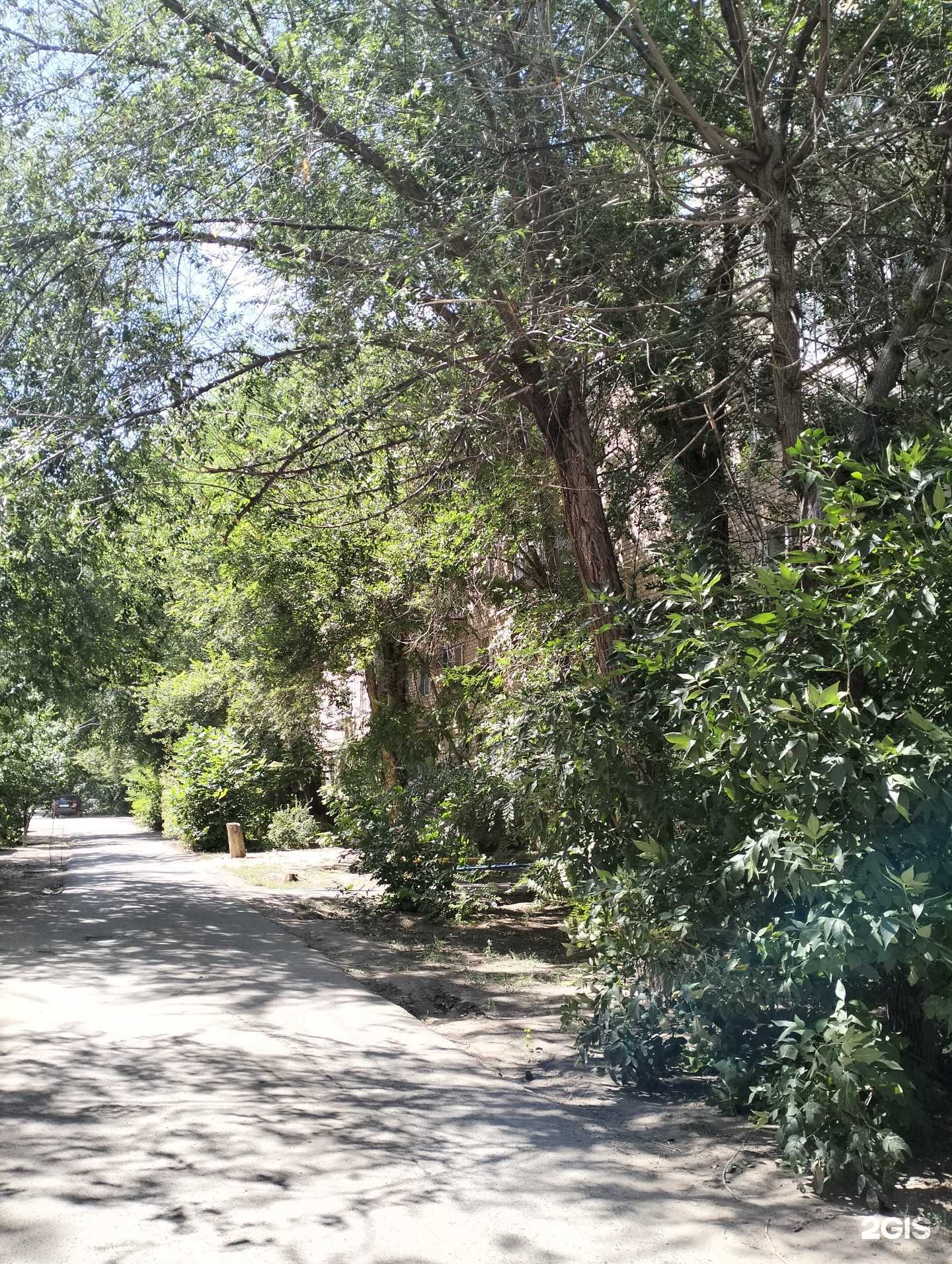 Отзывы на компанию Алгоритмика в Волжском c фото - фотография 2 из 2