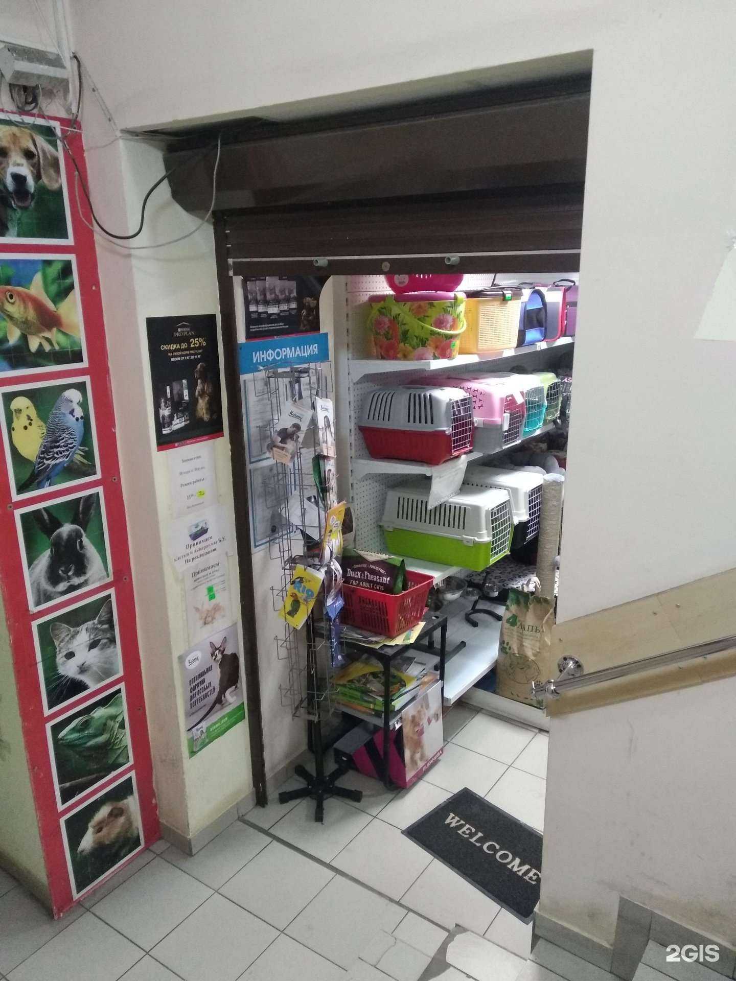 Отзывы на компанию Флора и Фауна в г. Архангельск c фото