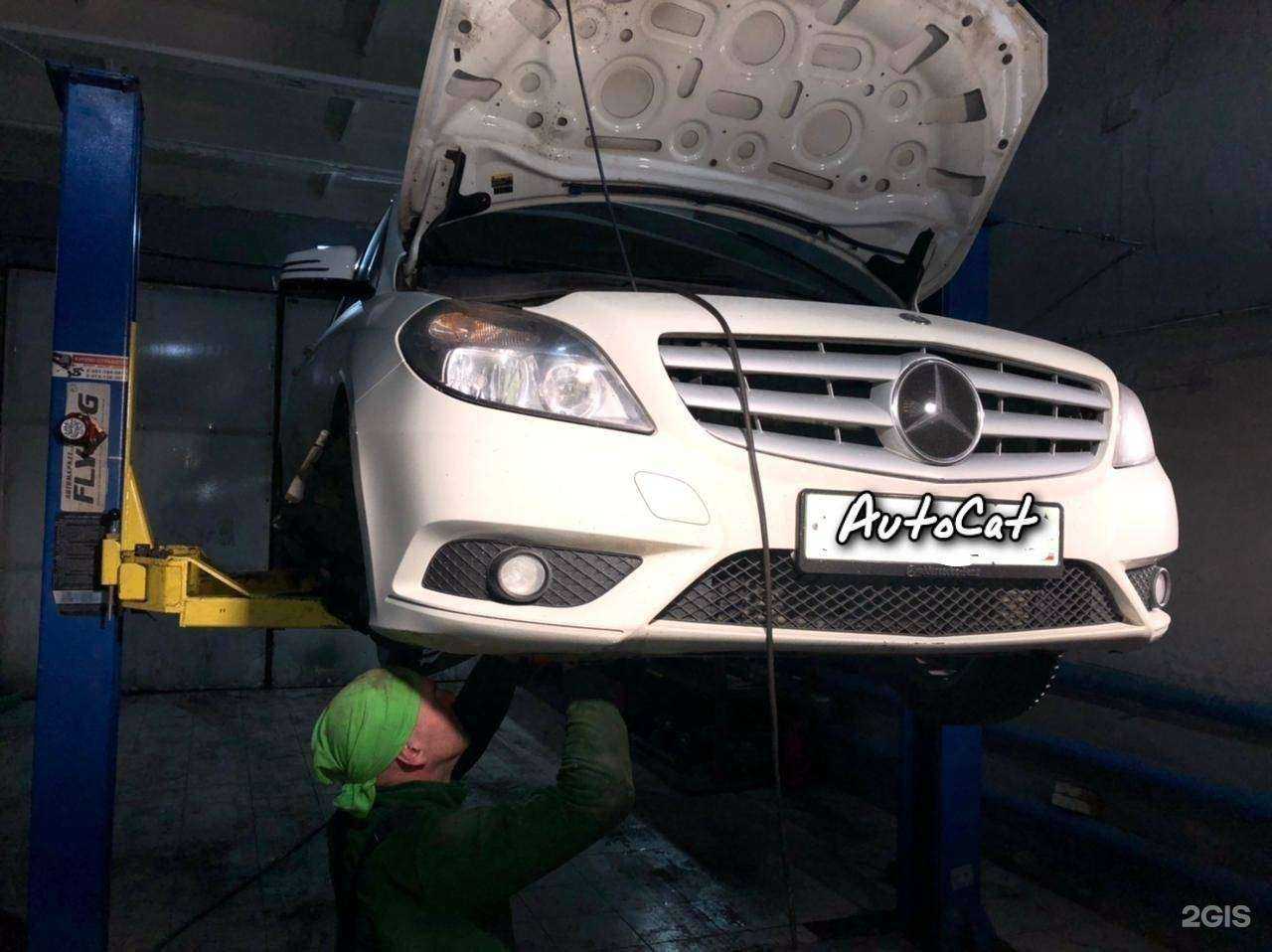 Отзывы на компанию AutoCat в Новокузнецке c фото