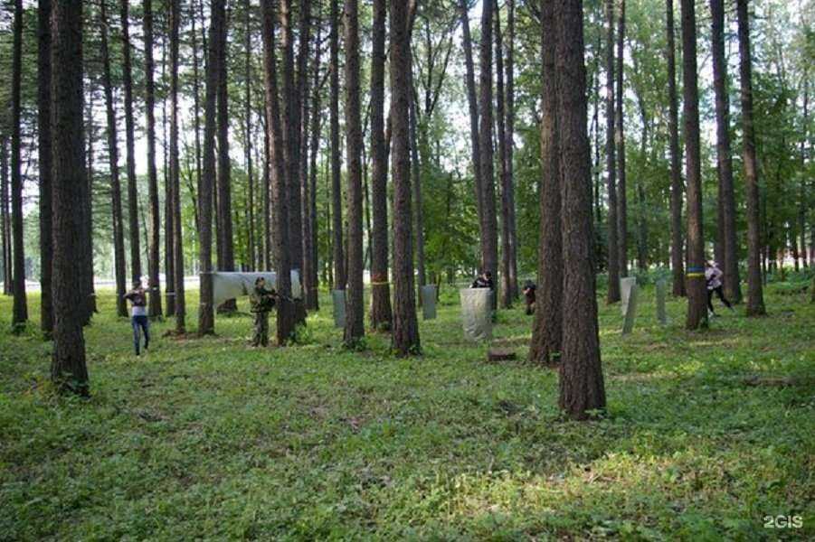 Отзывы на компанию Laser-shot в г. Новомосковск c фото