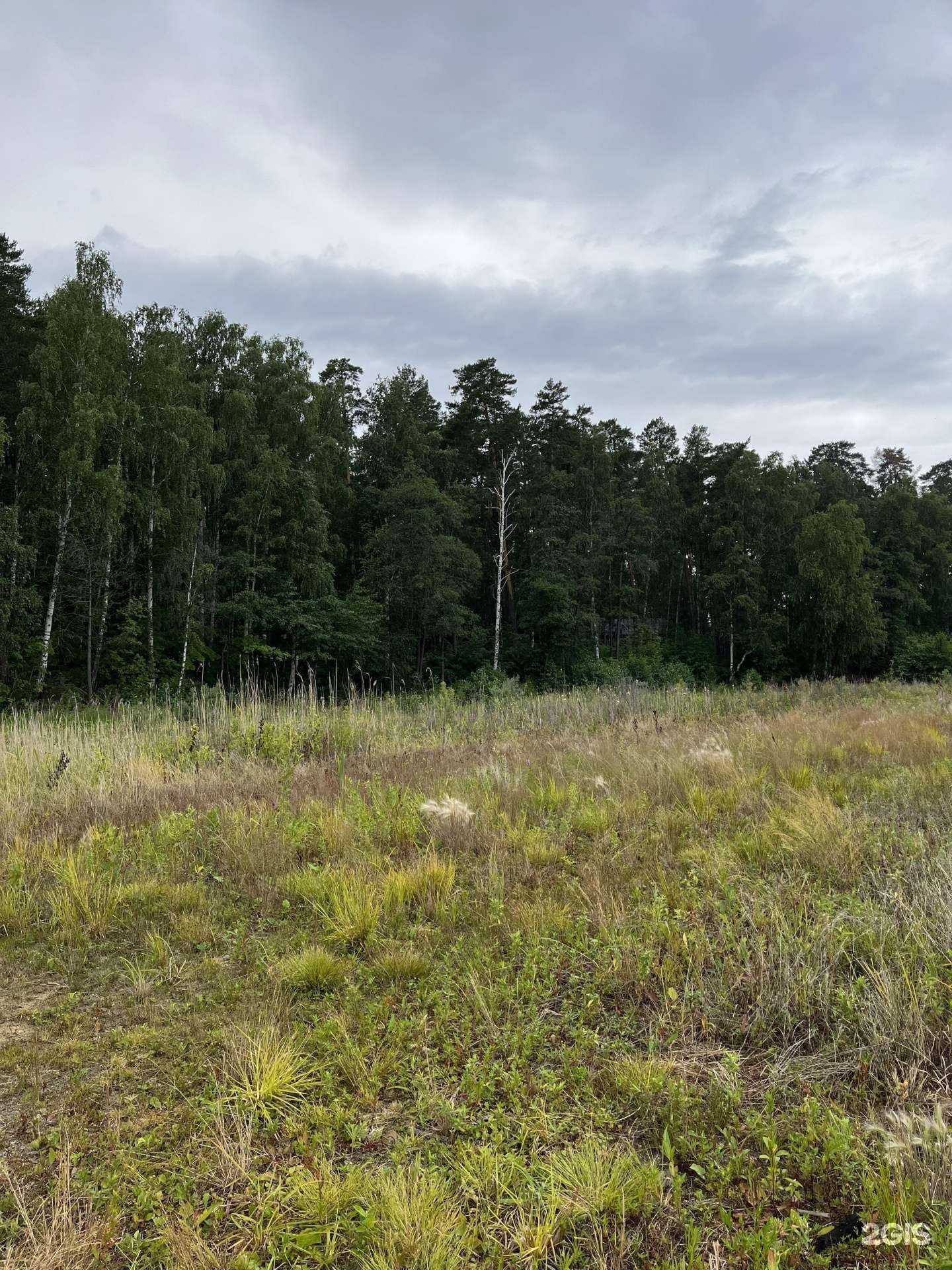 Отзывы на компанию Сосенка в Чебаркуле c фото