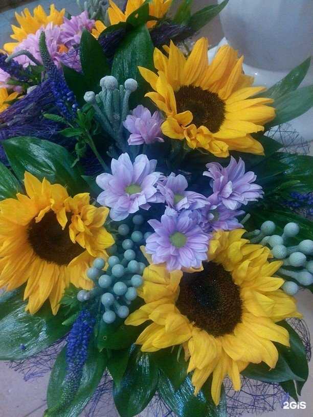 Отзывы на компанию Манго в Челябинске c фото