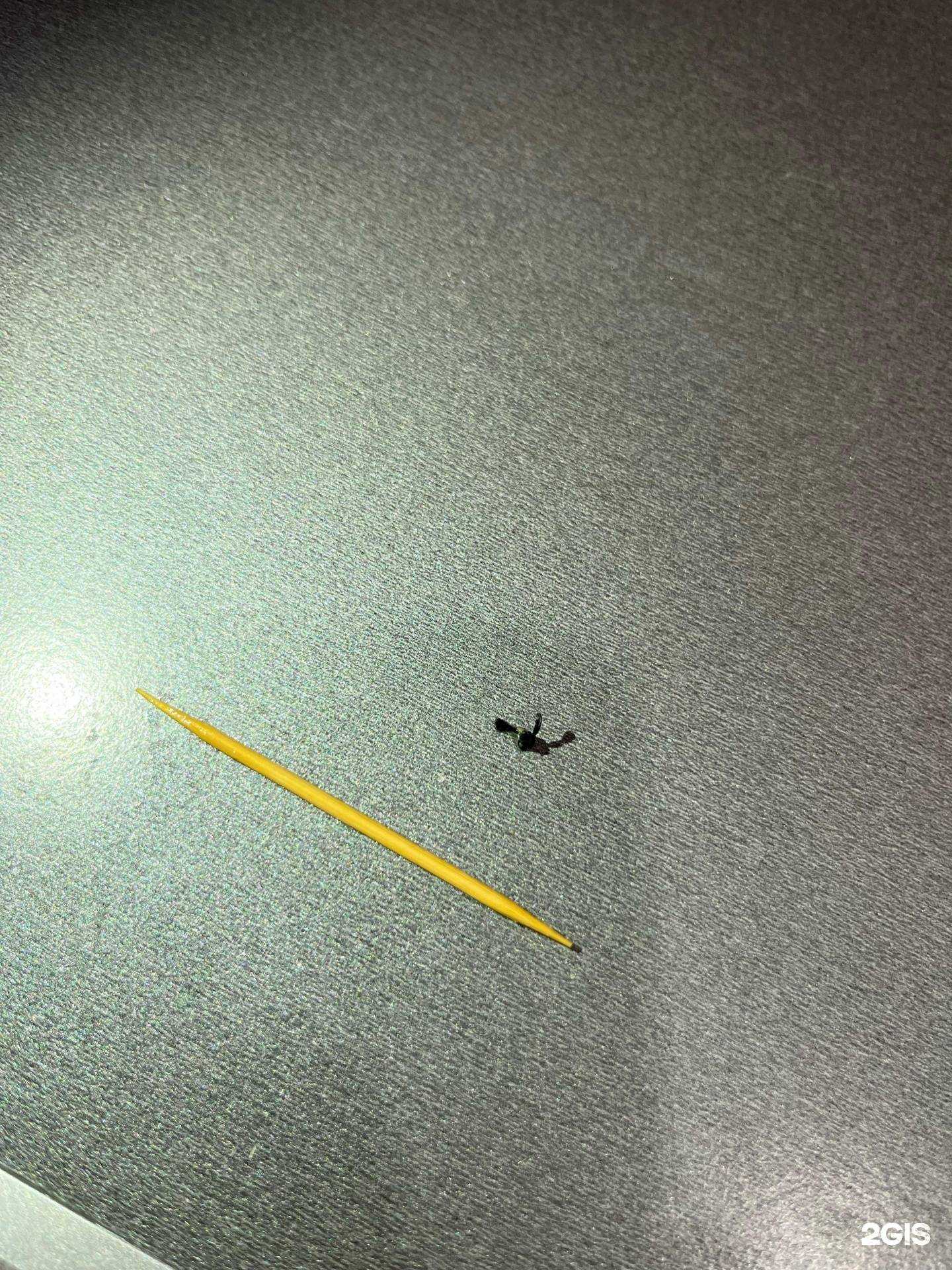 Отзывы на компанию Орион-дента в г. Красноярск c фото