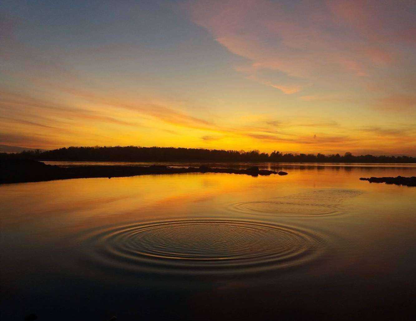 Отзывы на компанию Заельцовский в Новосибирске c фото