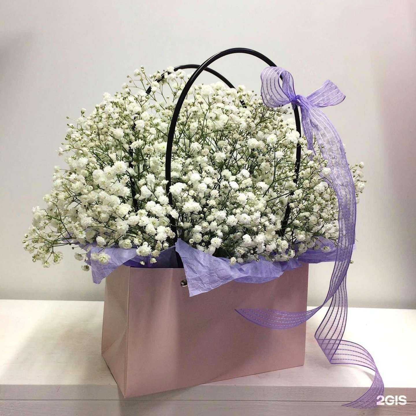 Отзывы на компанию Сити флора в Костроме c фото