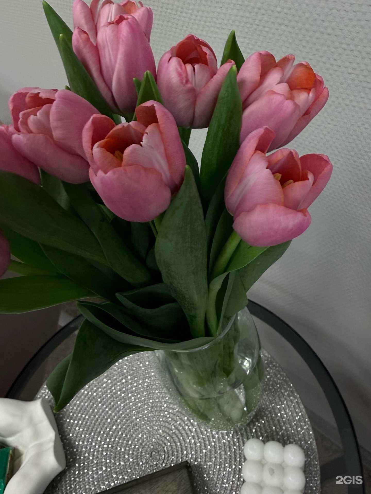 Отзывы на компанию Girl house в Новосибирске c фото