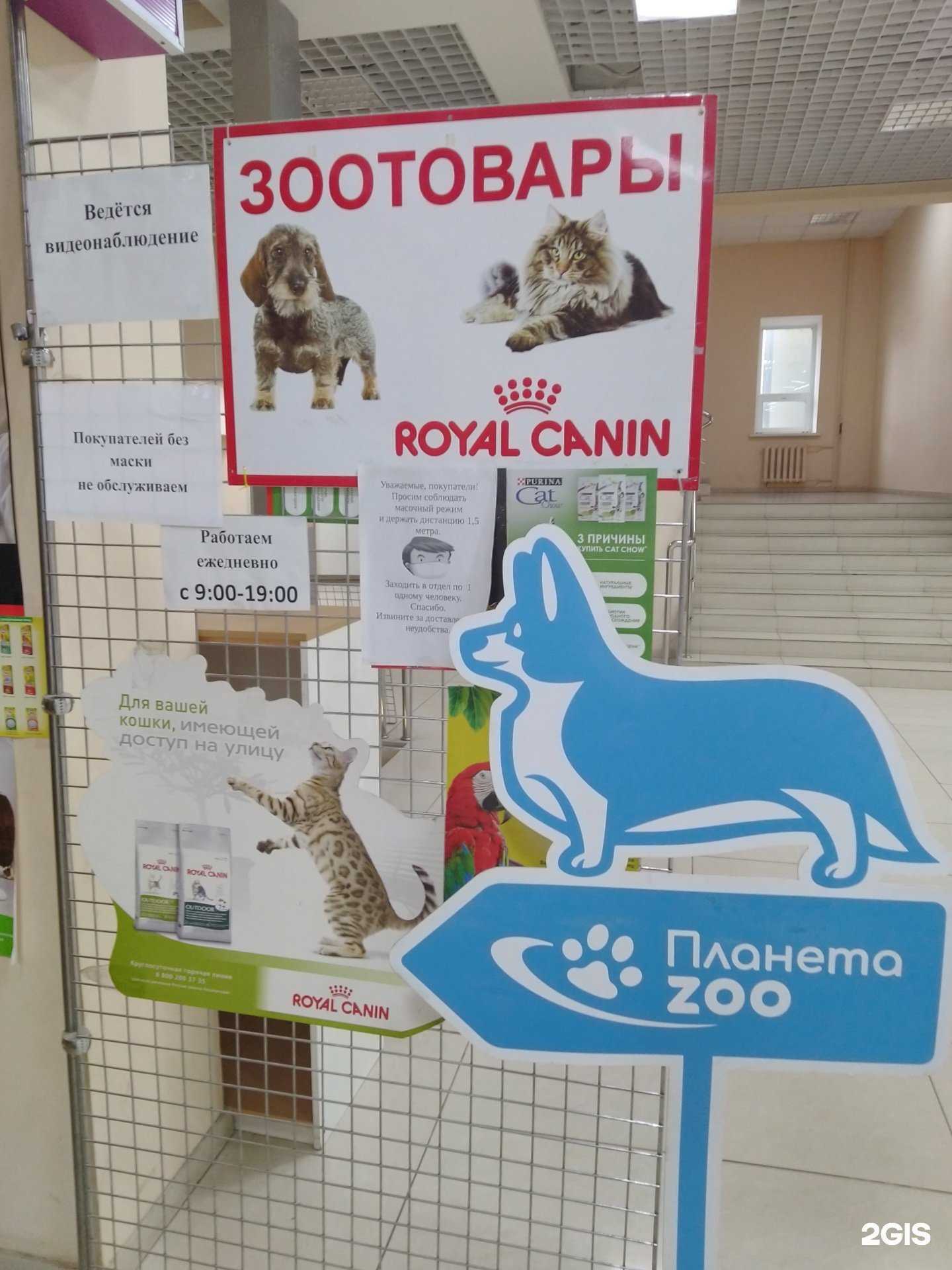 Отзывы на компанию Планета Zoo в Тамбове c фото