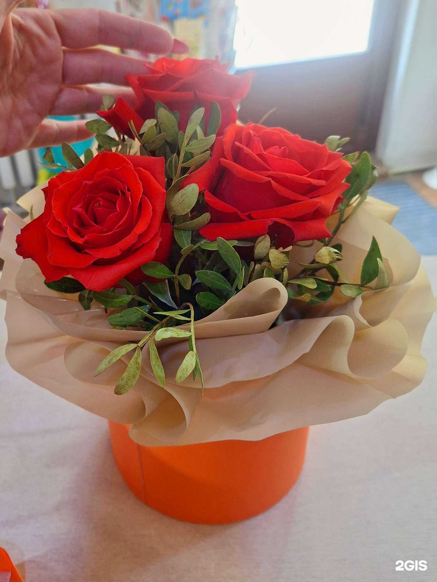 Отзывы на компанию Лилия в Чите c фото