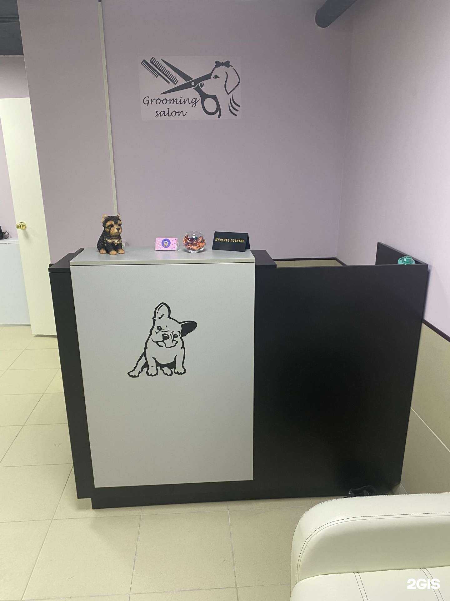 Отзывы на компанию Котопёс в Краснодаре c фото