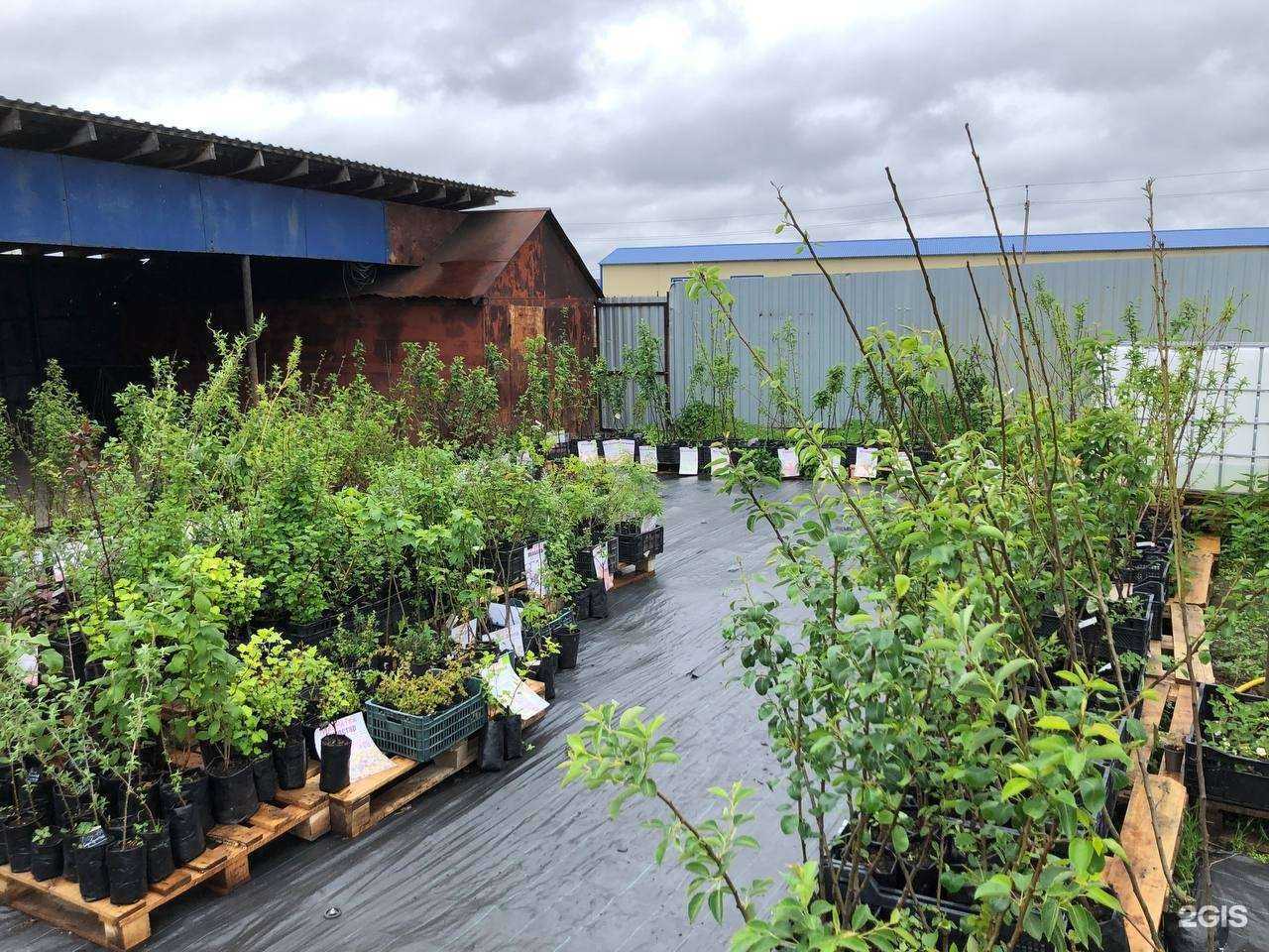 Отзывы на компанию Зелёный сад в г. Курган c фото