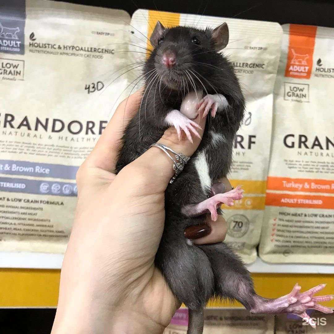 Отзывы на компанию Аквариум в Махачкале c фото