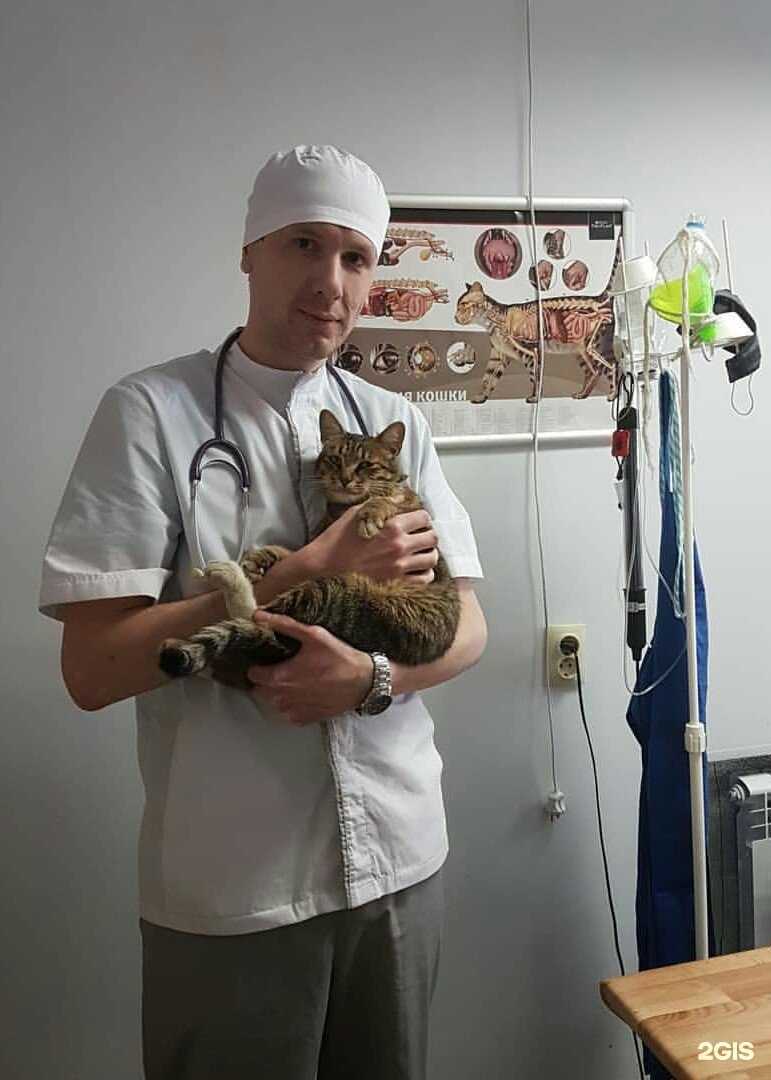 Отзывы на компанию Новый век в Уфе c фото