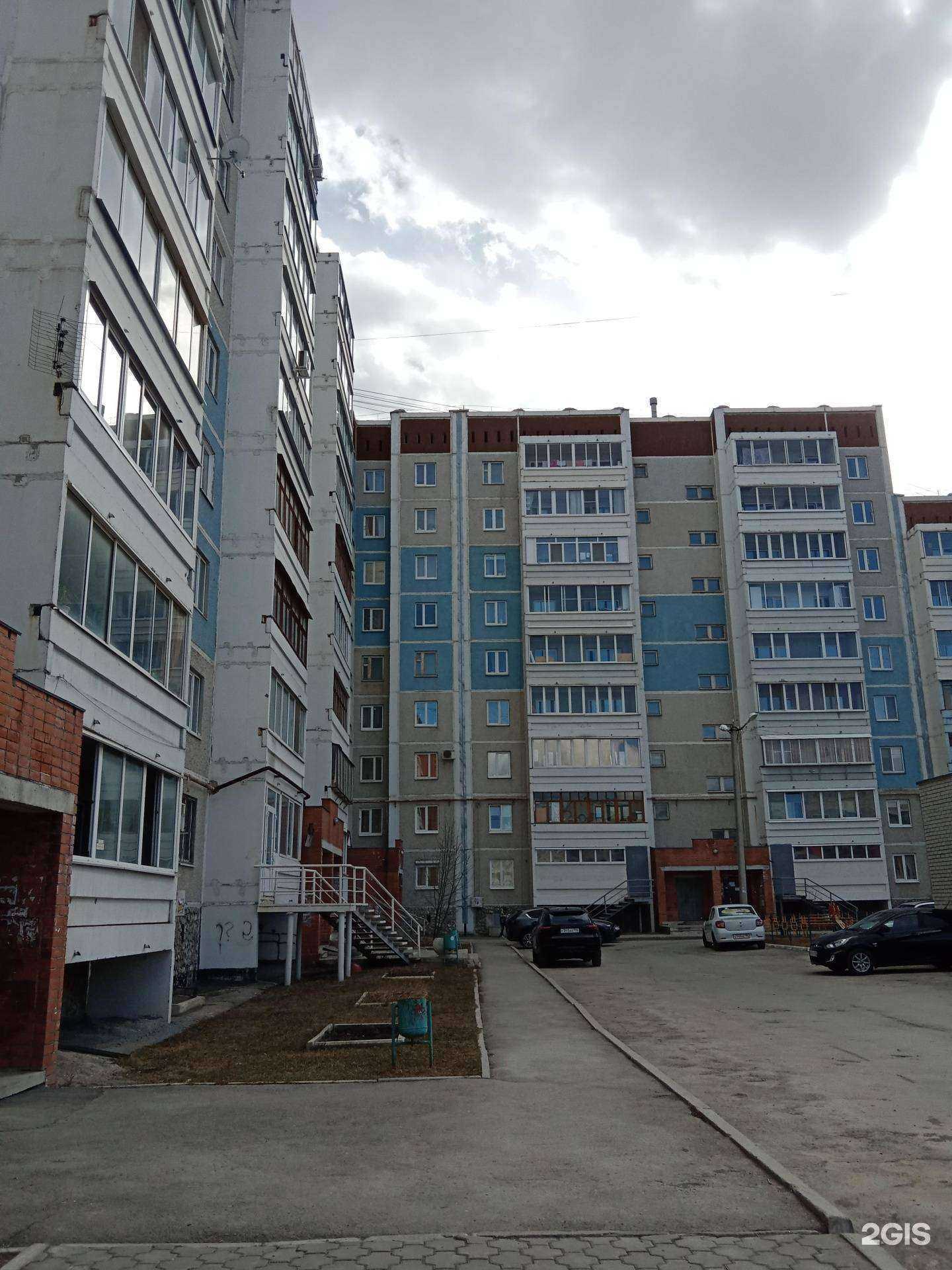 Отзывы на компанию Кот Бегемот в Каменске-Уральском c фото - фотография 2 из 2