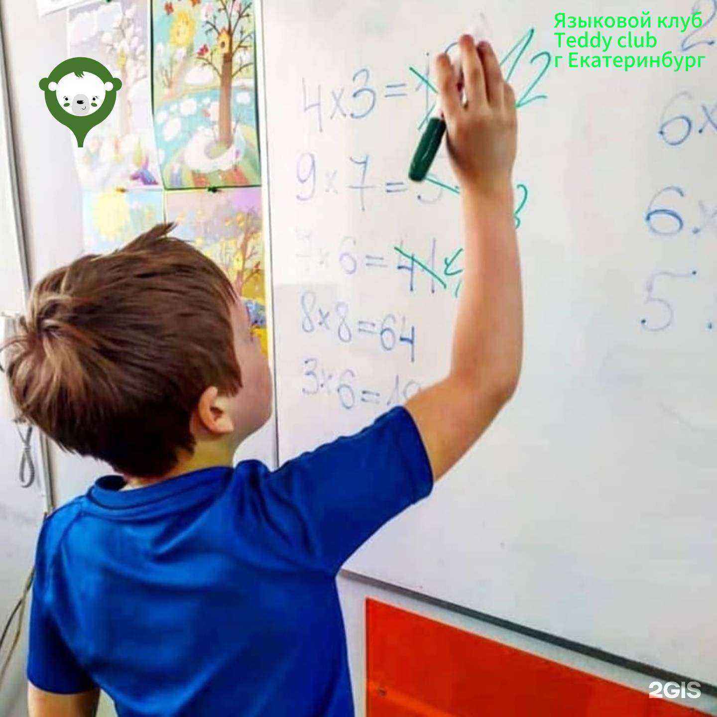 Отзывы на компанию Teddy club в г. Екатеринбург c фото