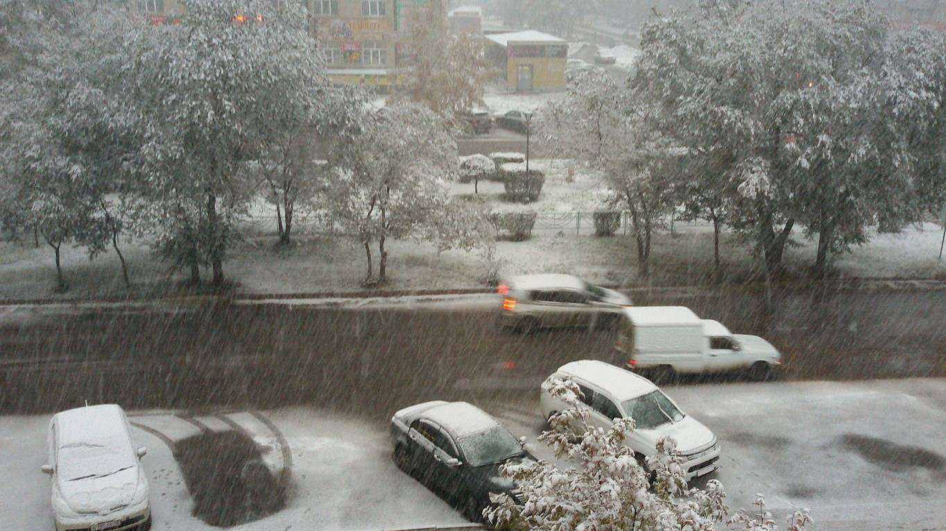 Отзывы на компанию Бретелька в Черногорске c фото - фотография 2 из 2