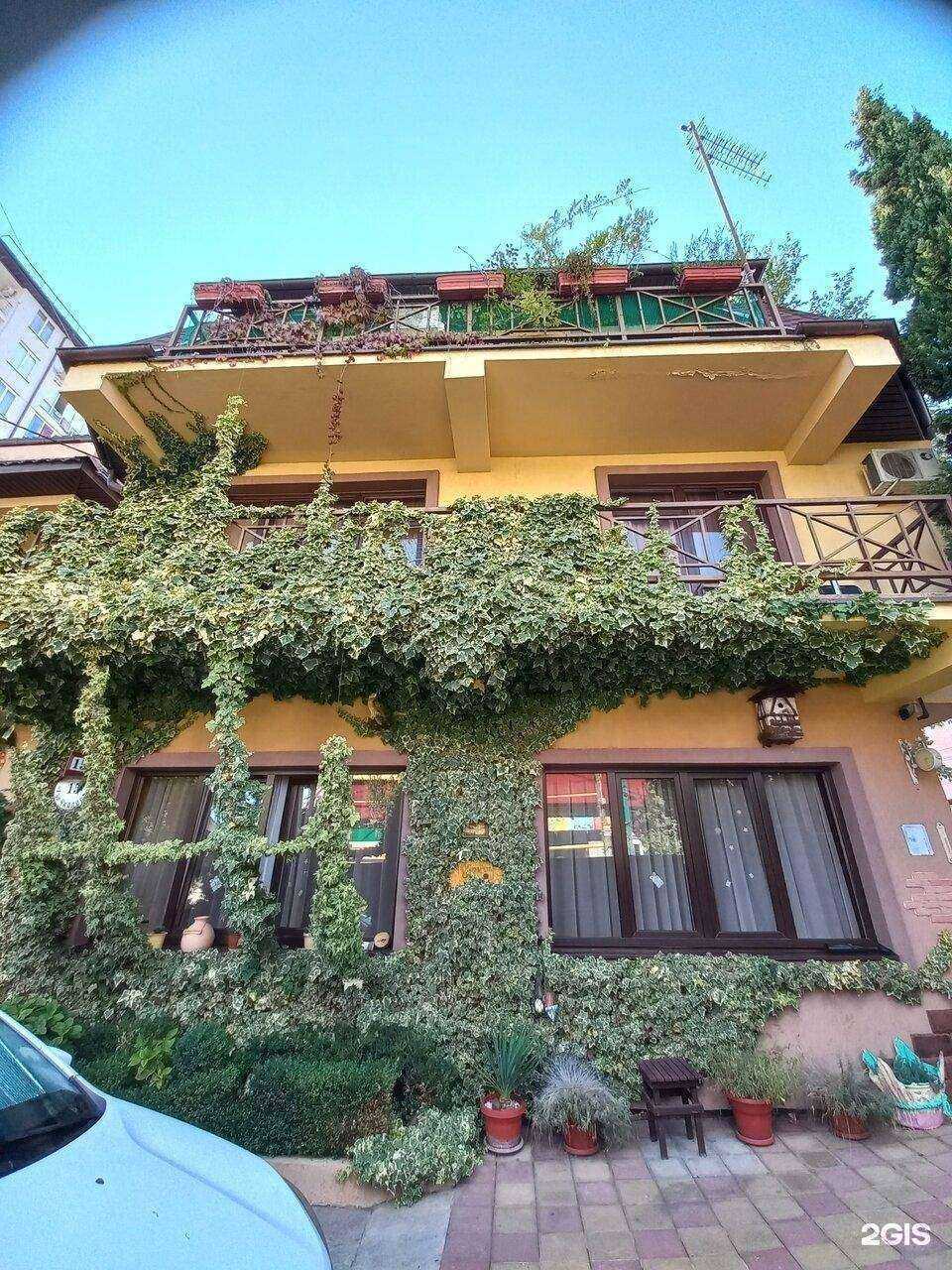 Отзывы на компанию Теремок в г. Сочи c фото