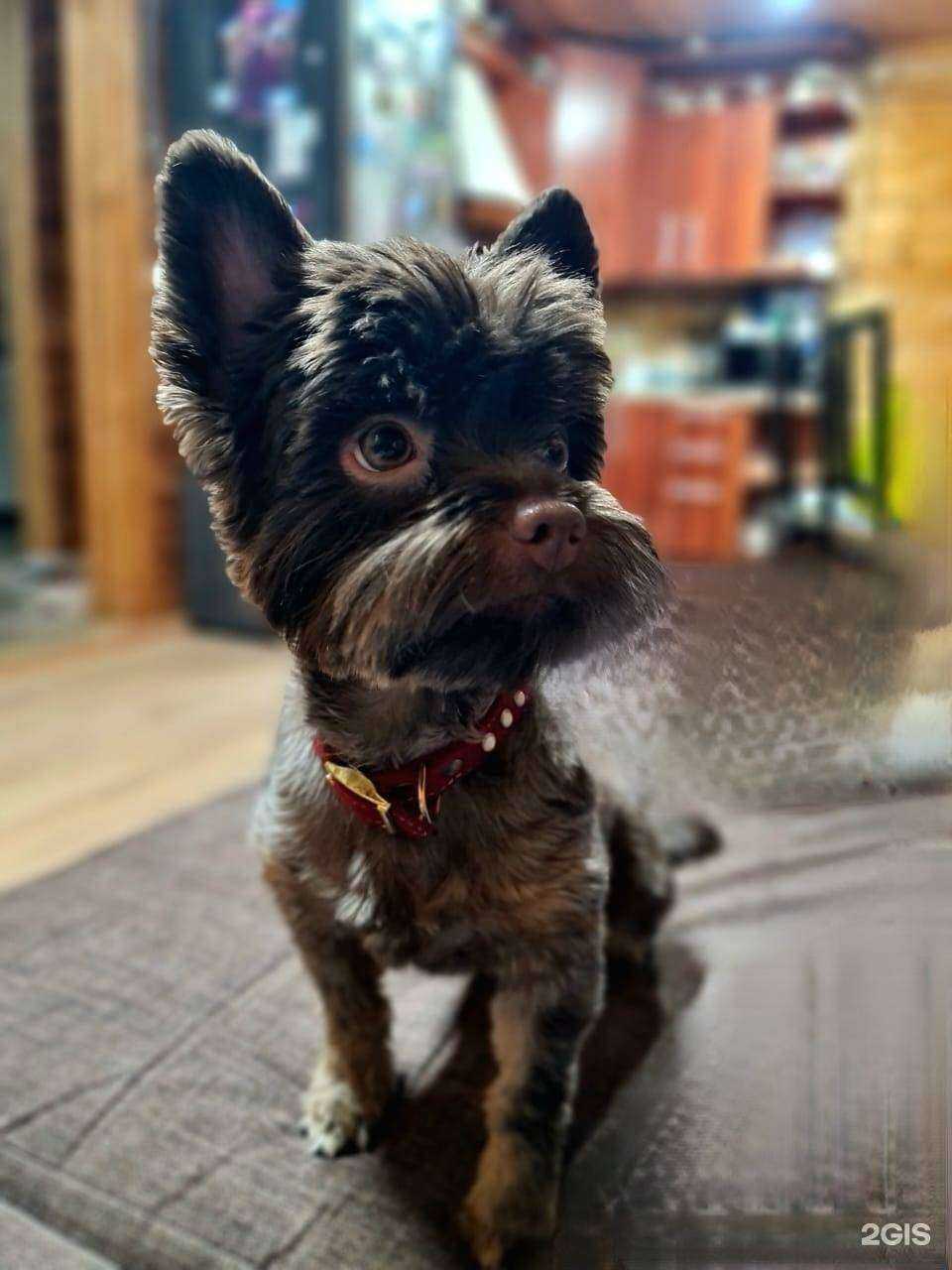 Отзывы на компанию Котелло в г. Иркутск c фото