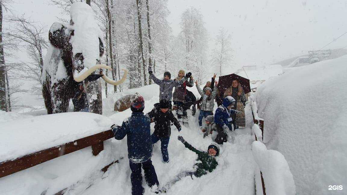 Отзывы на компанию Сочи подарок в г. Сочи c фото