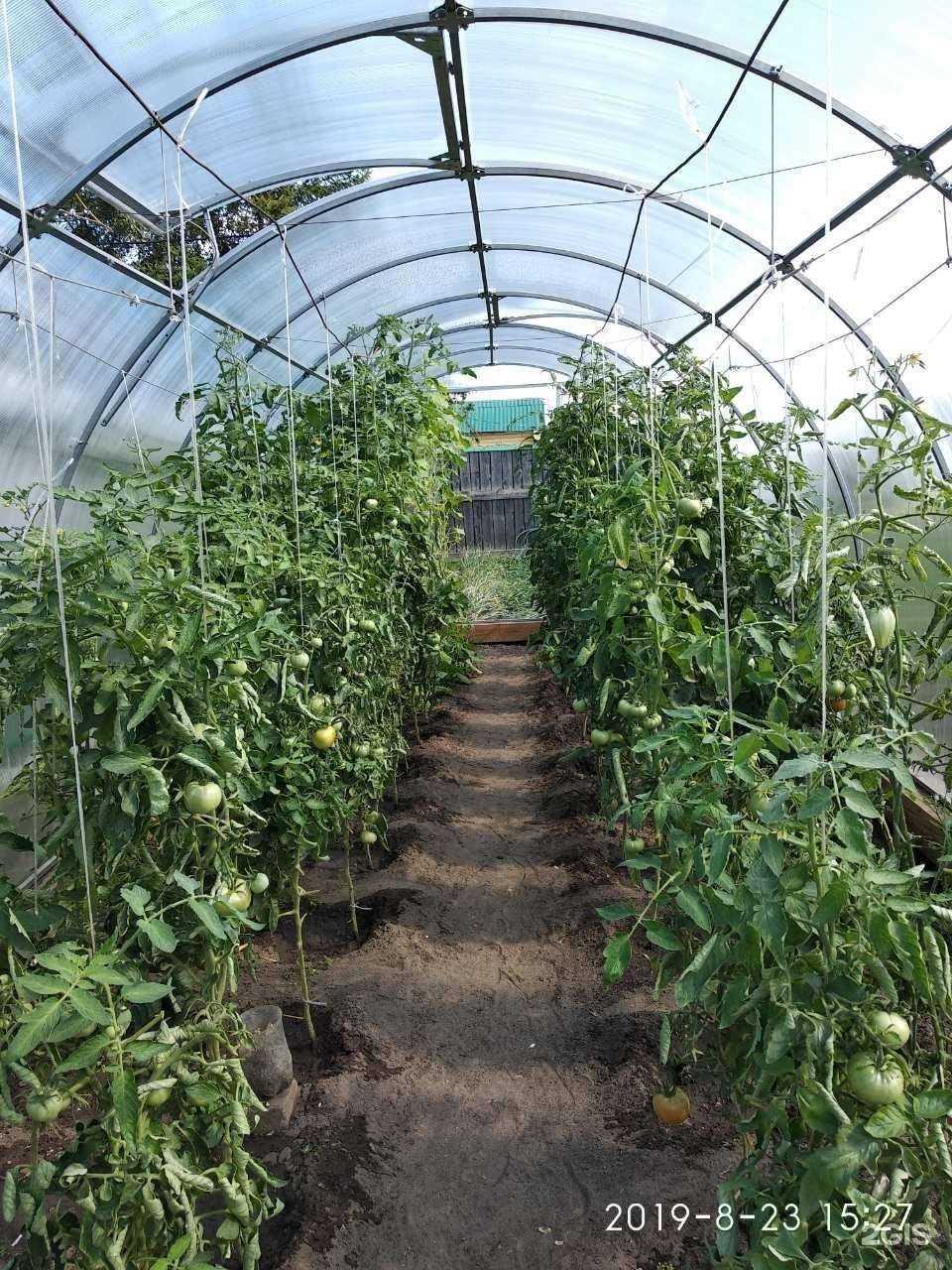 Отзывы на компанию Сота в г. Ангарск c фото