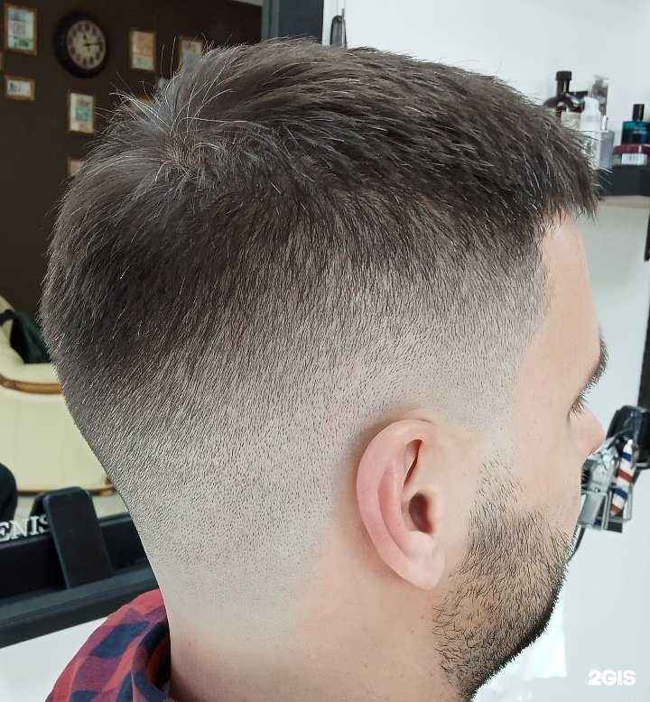 Отзывы на компанию Professor  в г. Сочи c фото