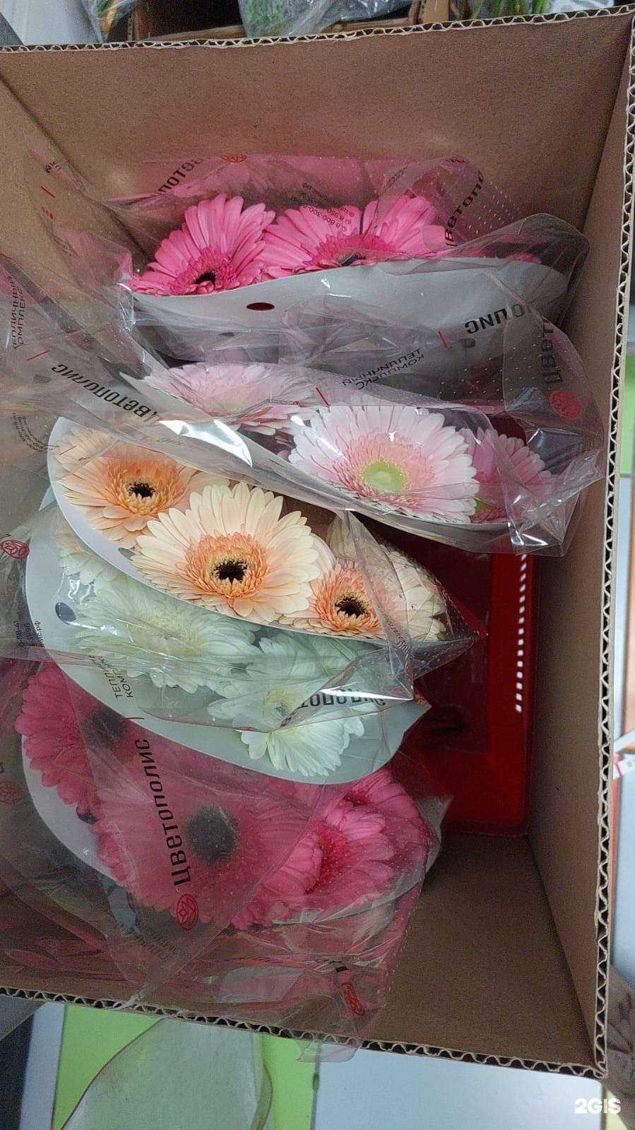 Отзывы на компанию Iris в г. Кировград c фото