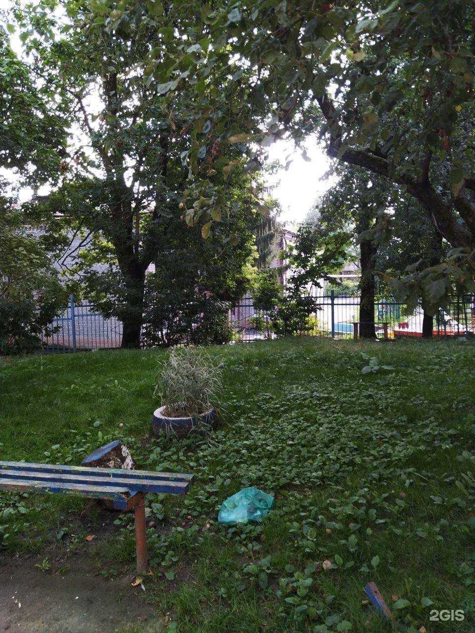 Отзывы на компанию Орленок в г. Брянск c фото