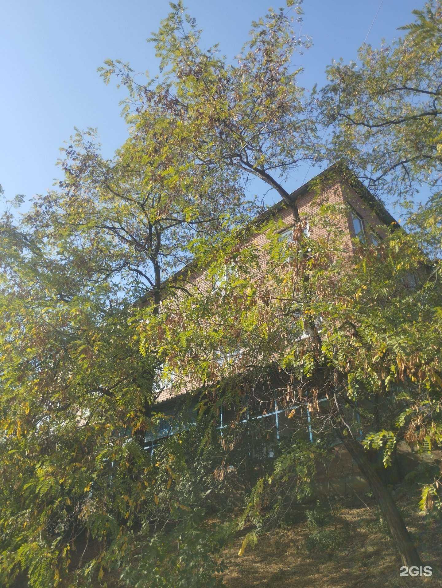 Отзывы на компанию Пилим все в Ростове-на-Дону c фото