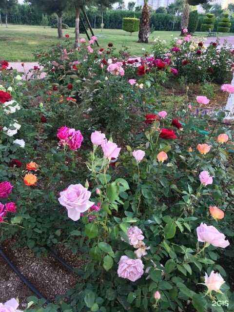 Отзывы на компанию Anex в г. Барнаул c фото