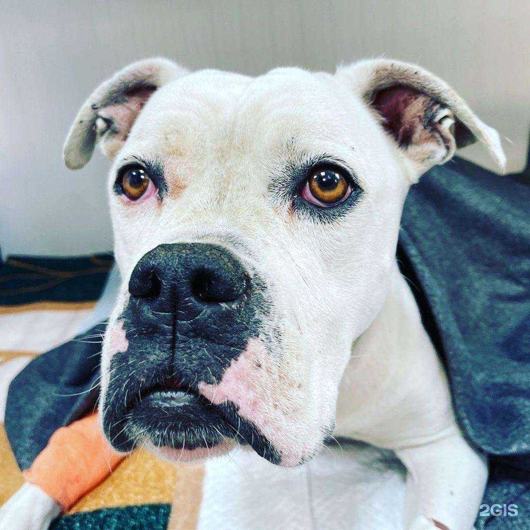 Отзывы на компанию Доверие в Краснодаре c фото