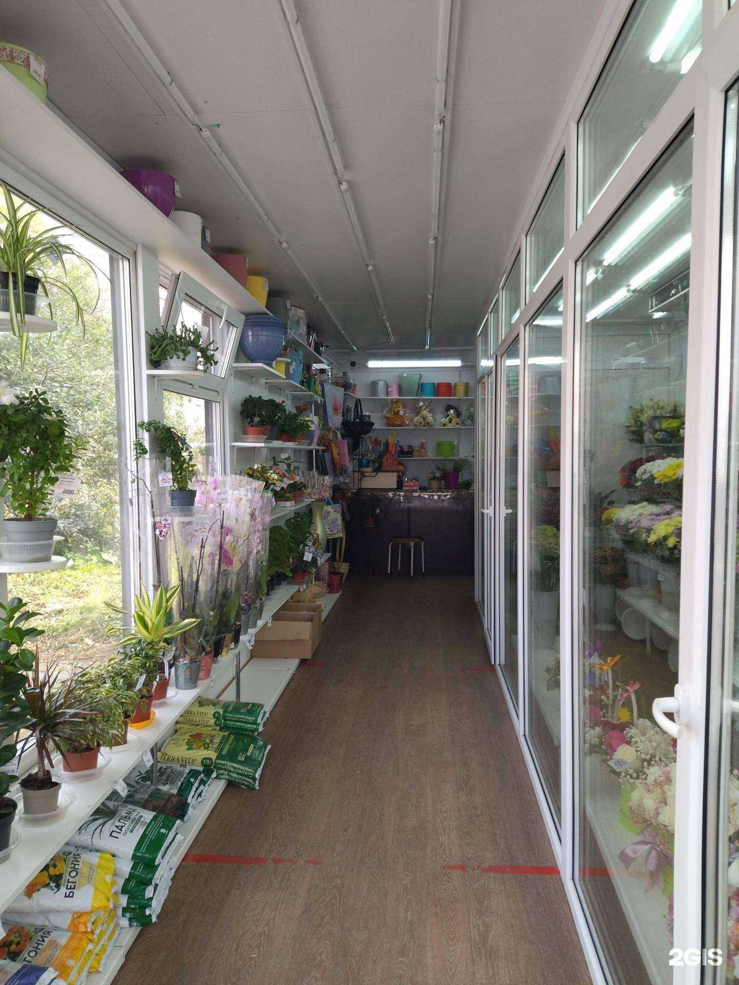 Отзывы на компанию Азалия в г. Томск c фото