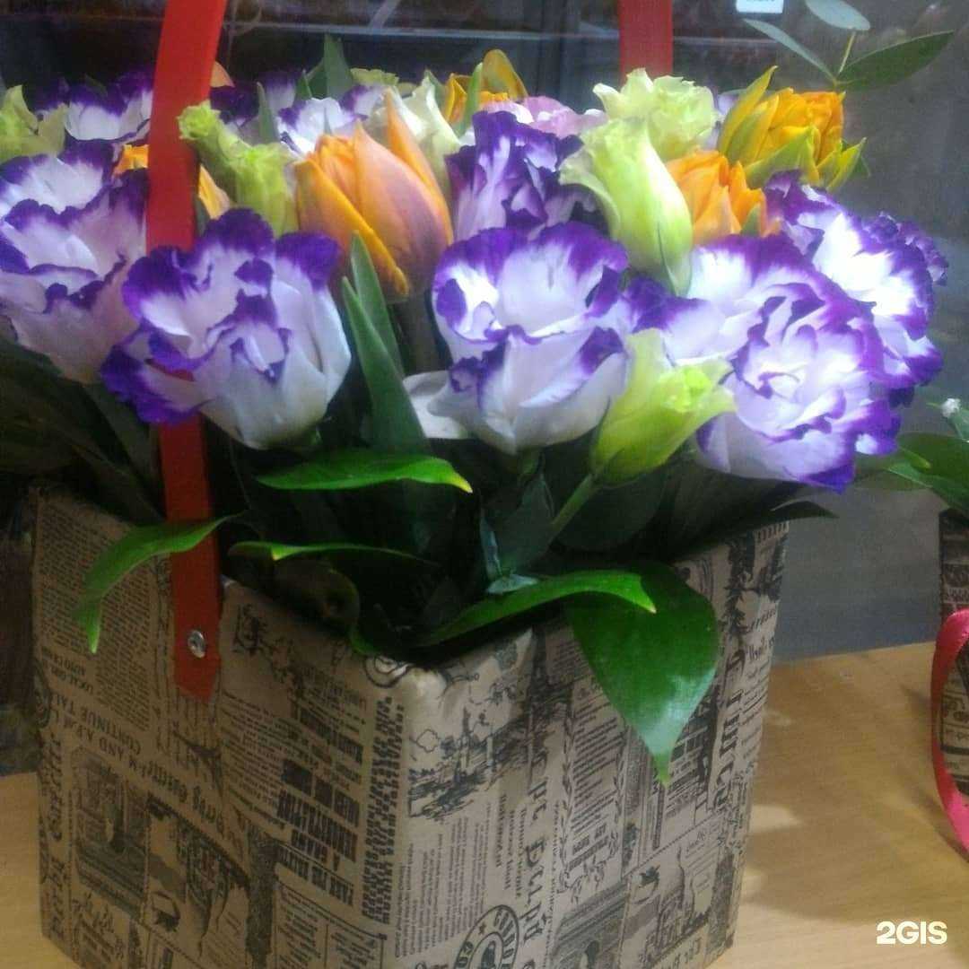 Отзывы на компанию Цветочная лавка в г. Краснодар c фото