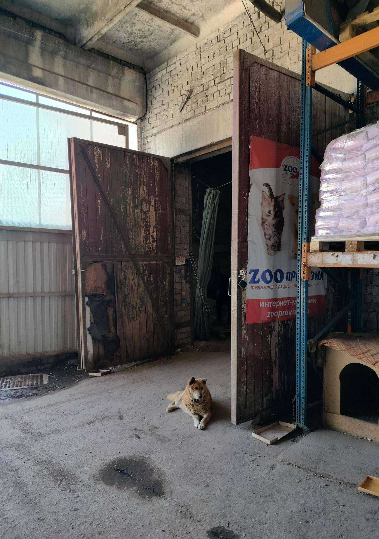 Отзывы на компанию Zooпровизия в Костроме c фото