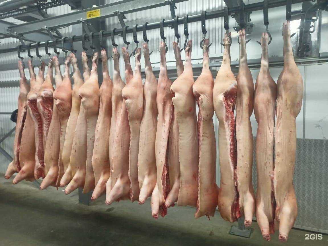 Отзывы на компанию ОРЕЛМЯСО в Орле c фото