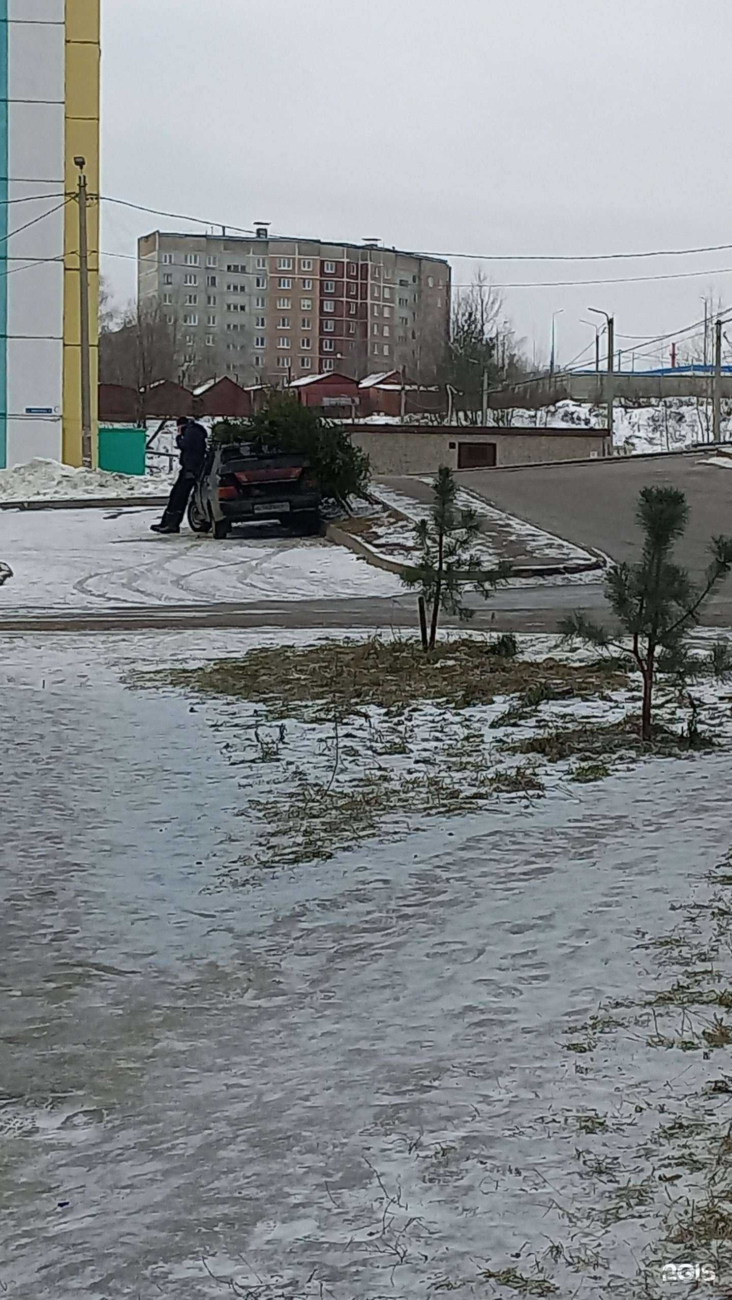 Отзывы на компанию Аригато в Смоленске c фото - фотография 2 из 2