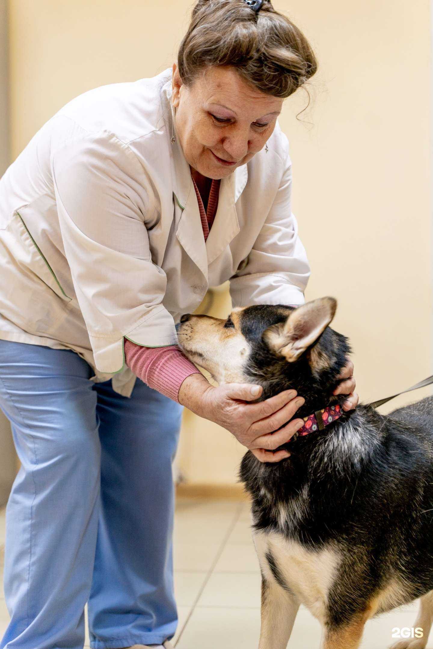 Отзывы на компанию Друг в г. Обнинск c фото