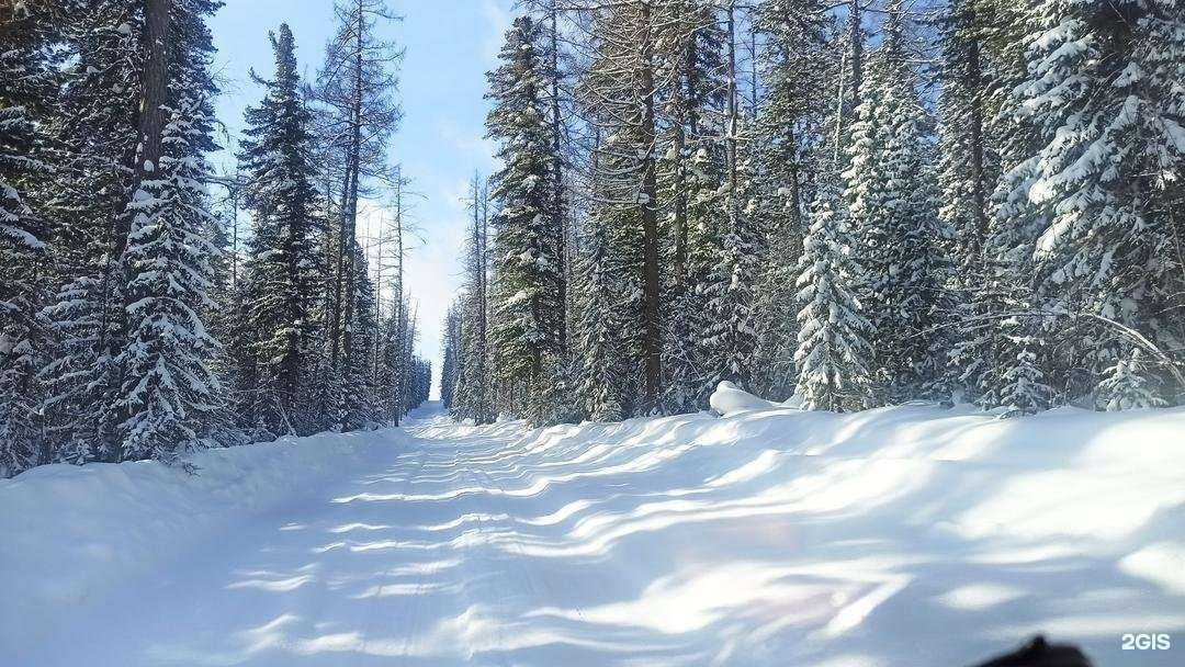 Отзывы на компанию Сибвэй тур в г. Красноярск c фото