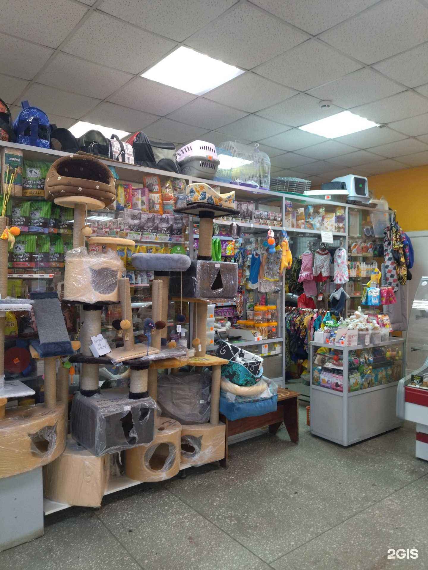 Отзывы на компанию Зоомания в Новокузнецке c фото