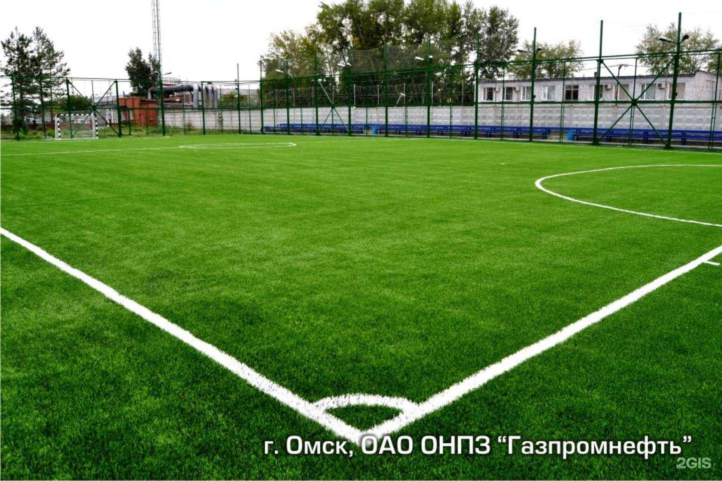 Отзывы на компанию Палестра в Омске c фото