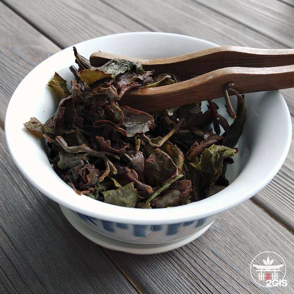 Отзывы на компанию Дом Живого Чая в г. Новокузнецк c фото